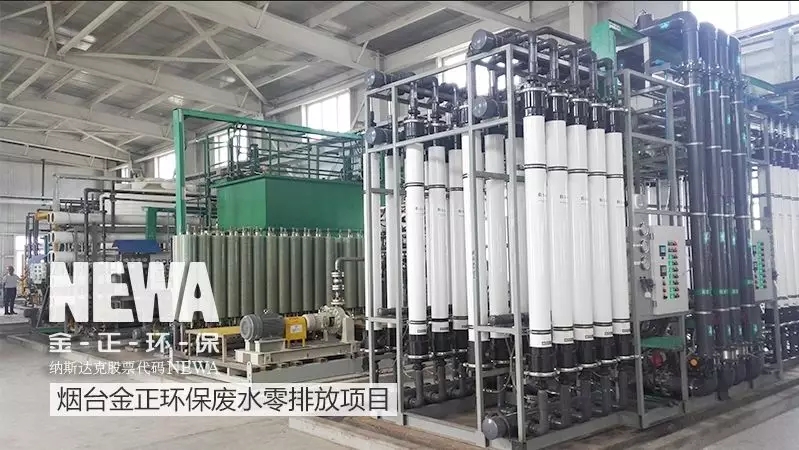 1550192147887175.jpg 640.webp (5).jpg